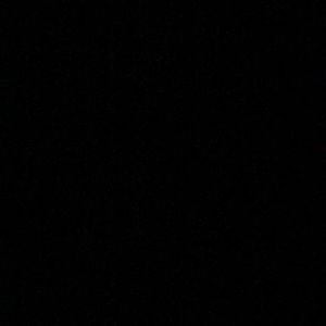 Meet your Posher, Benjamin